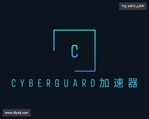 关于cyberguard加速器